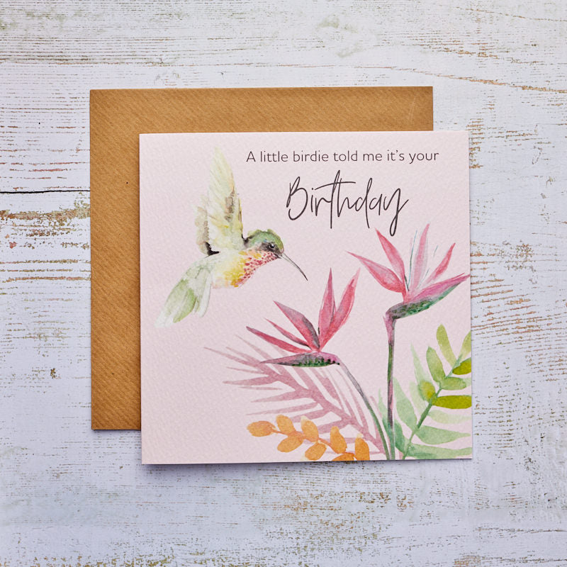 Hummingbird Bird Birthday Card