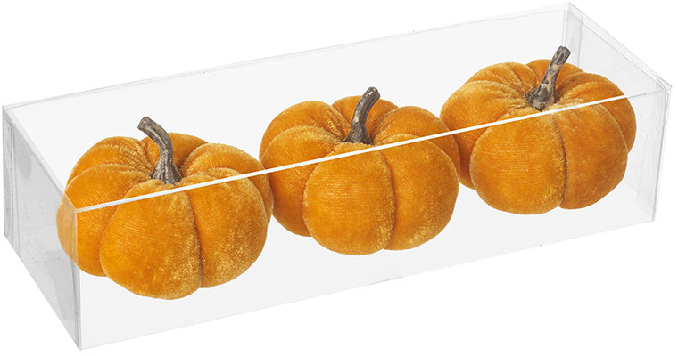 Set o3 Boxed Velvet Pumpkins