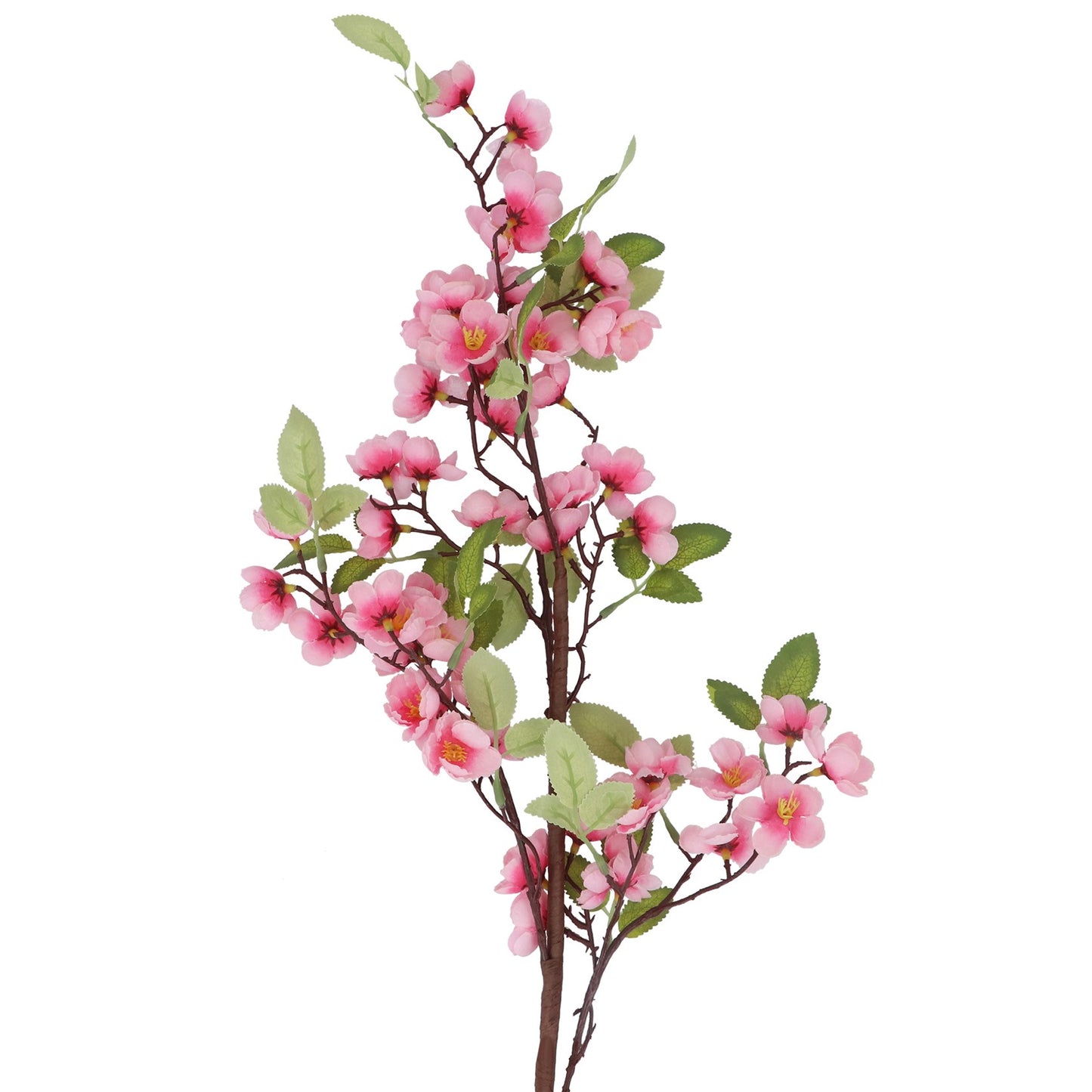 Pink Cherry Blossom Branch