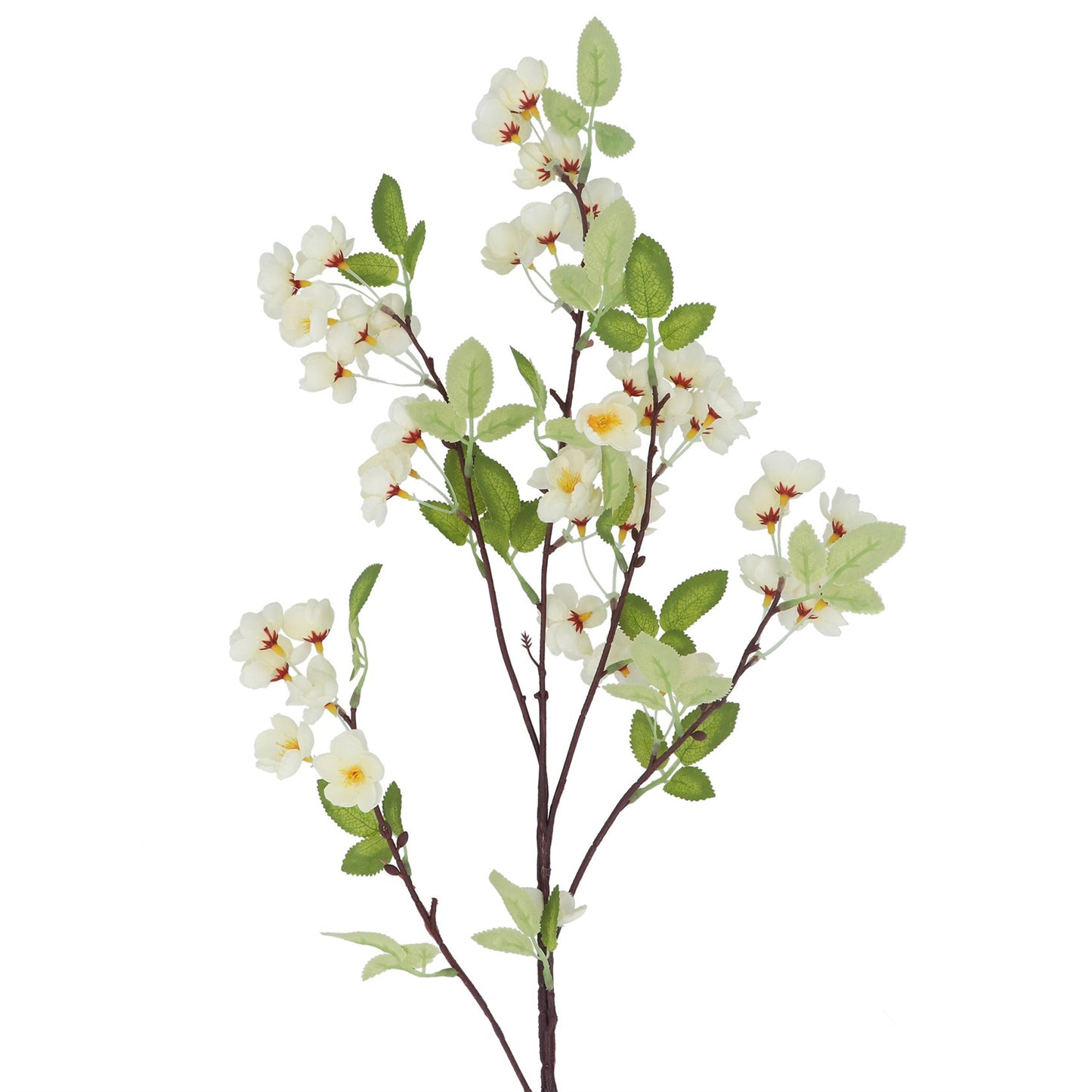White Cherry Blossom Branch