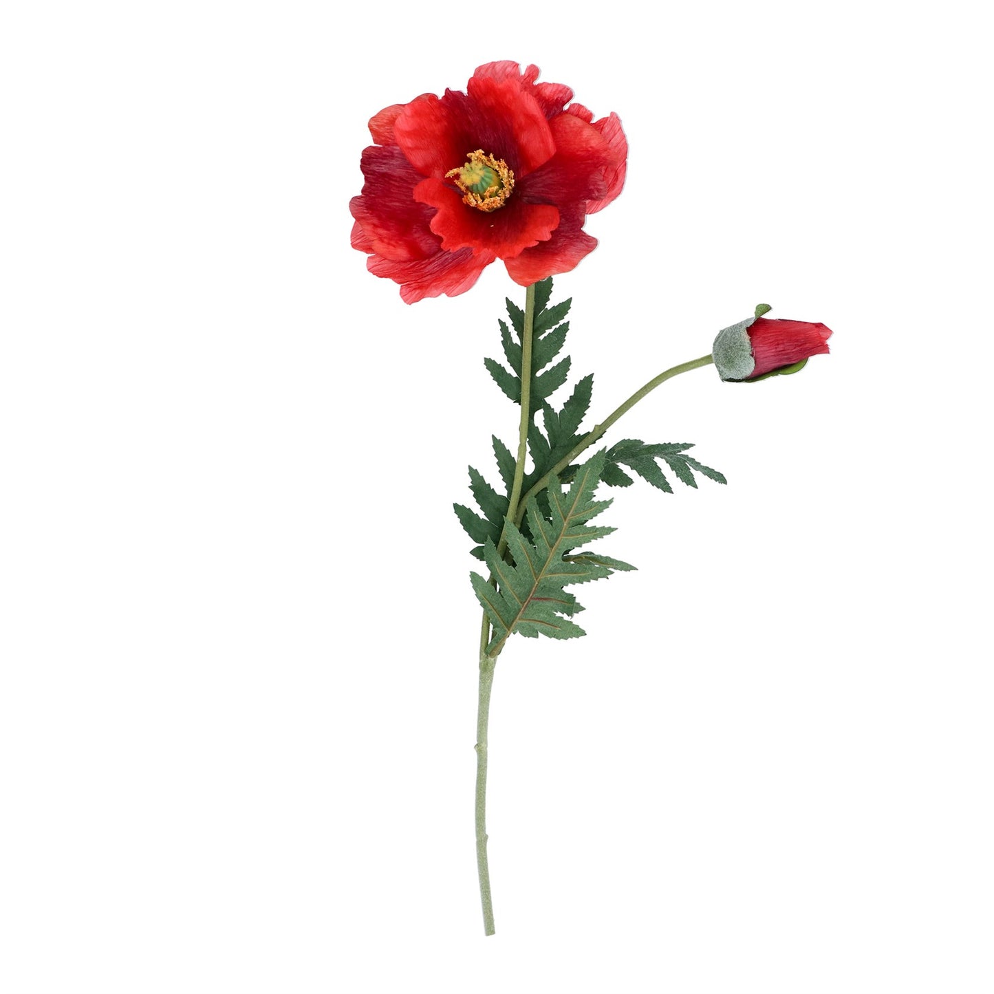 Large Red Poppy Stem