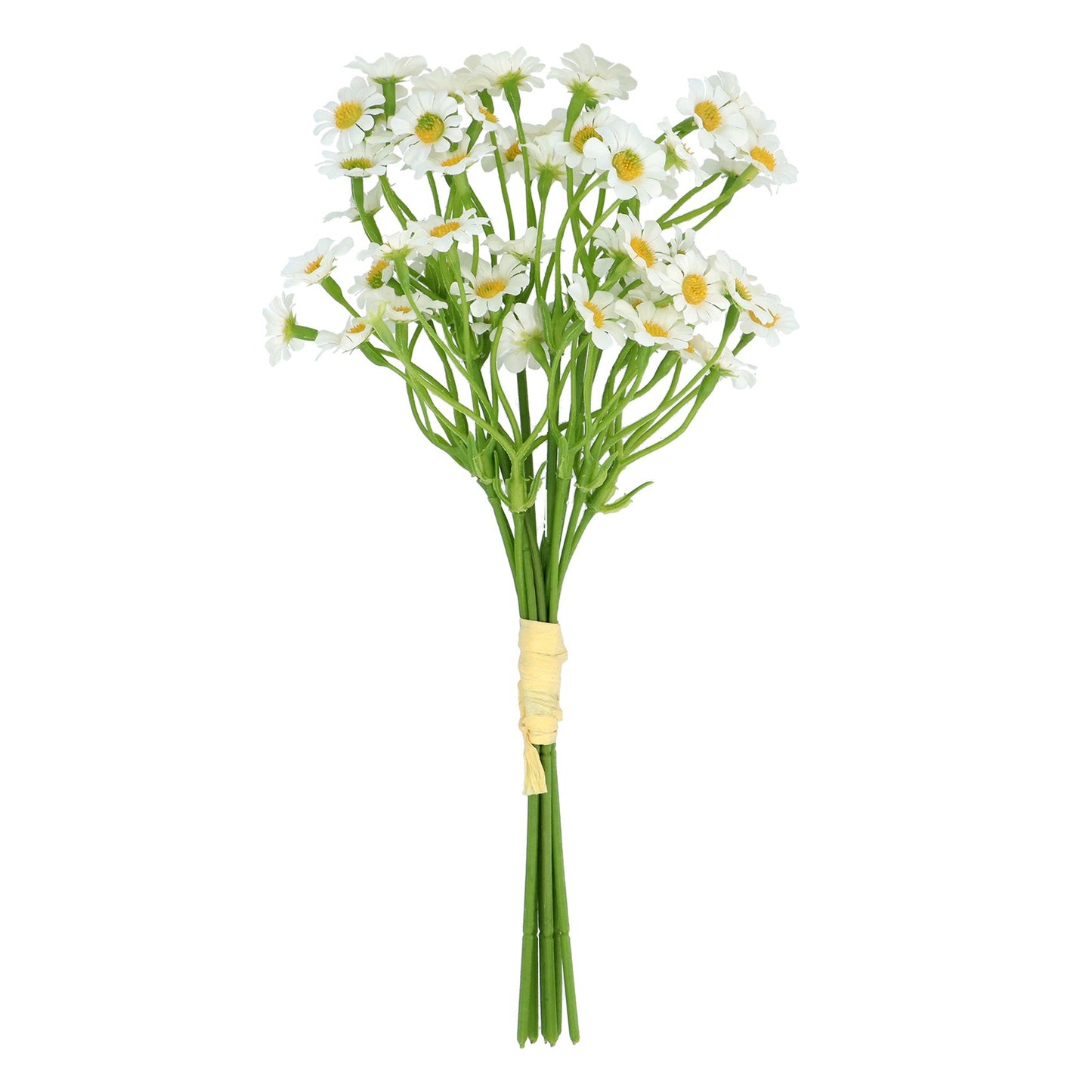 White Daisy Posy