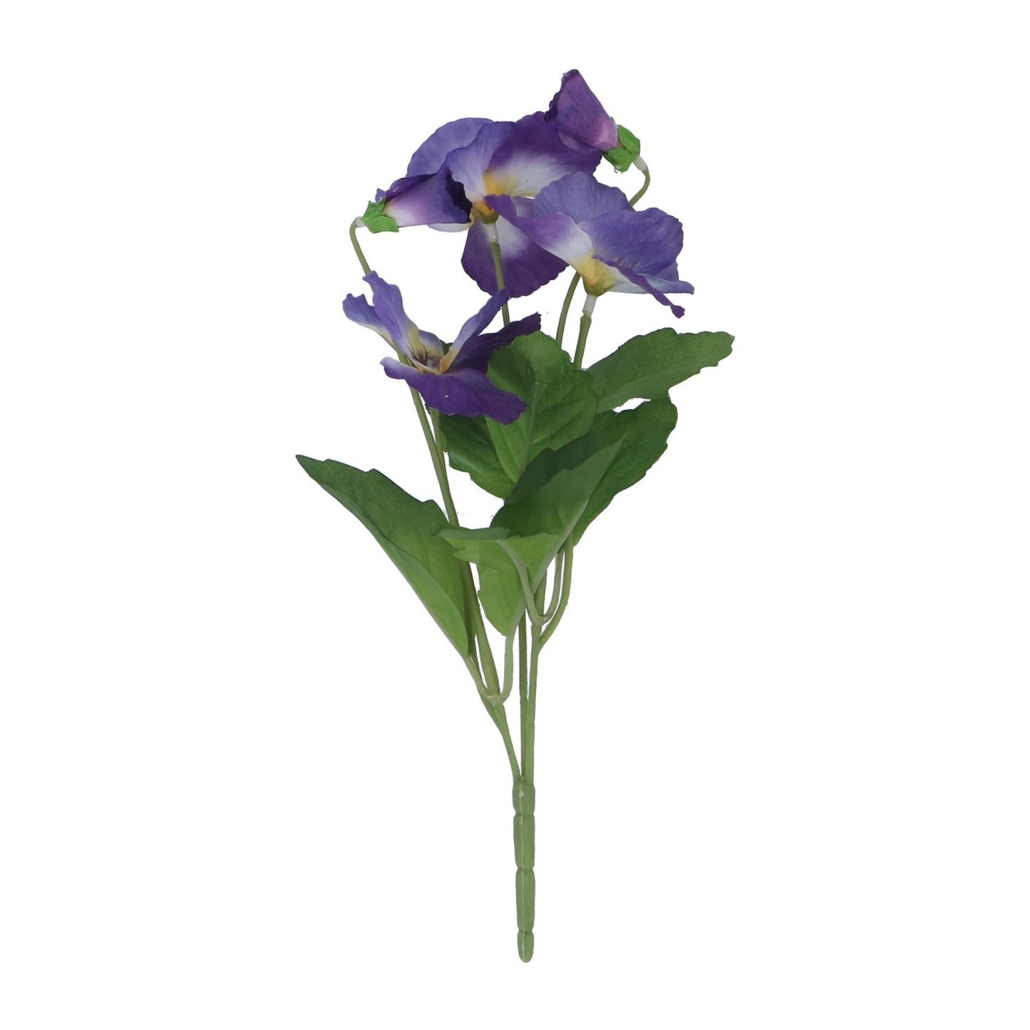 Blue Pansy Spray