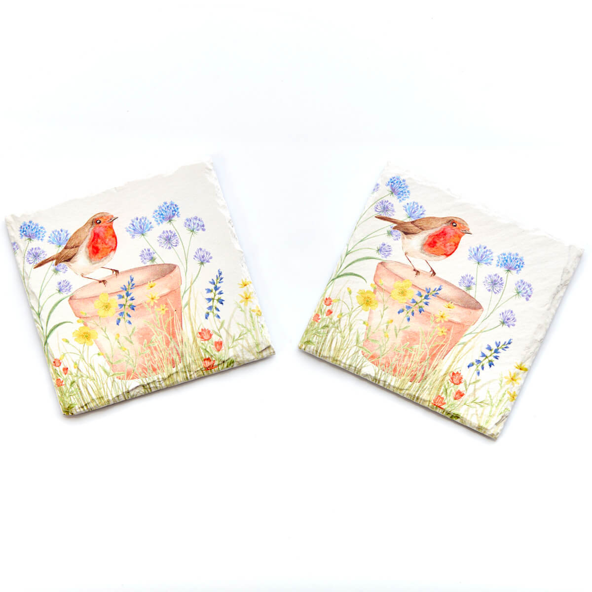 Robin On Plant Pot Floral Slate Coaster