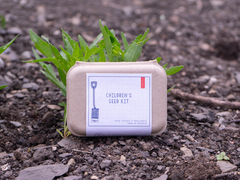 Childrens Garden Seed Kit