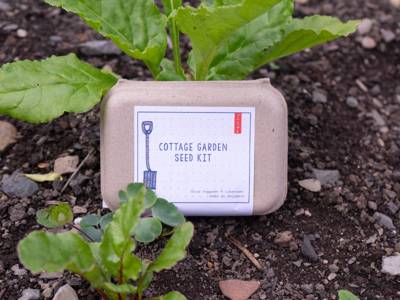 Cottage Garden Seed Kit