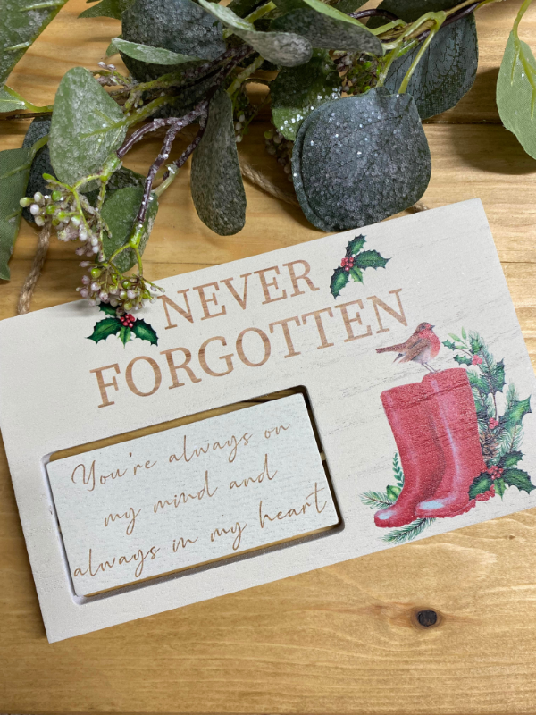 Robin Spinning Plaque