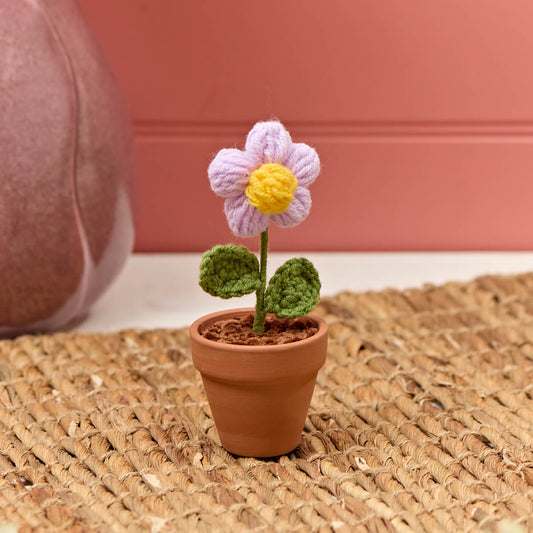 Hand Knitted Daisy In Pot