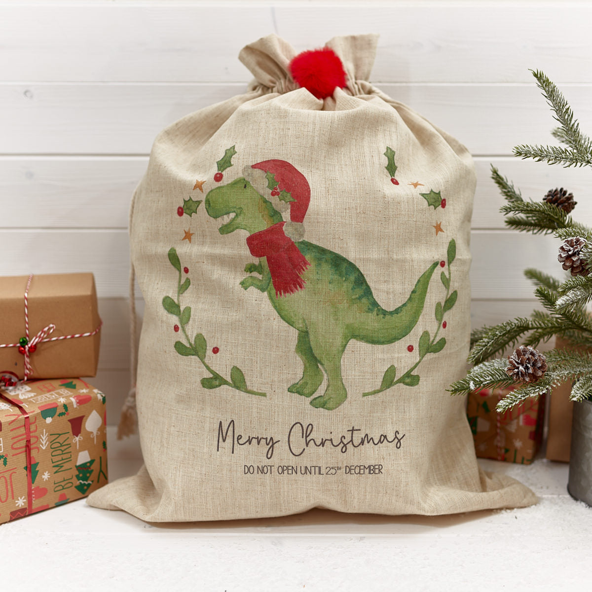 Dino Christmas Sack