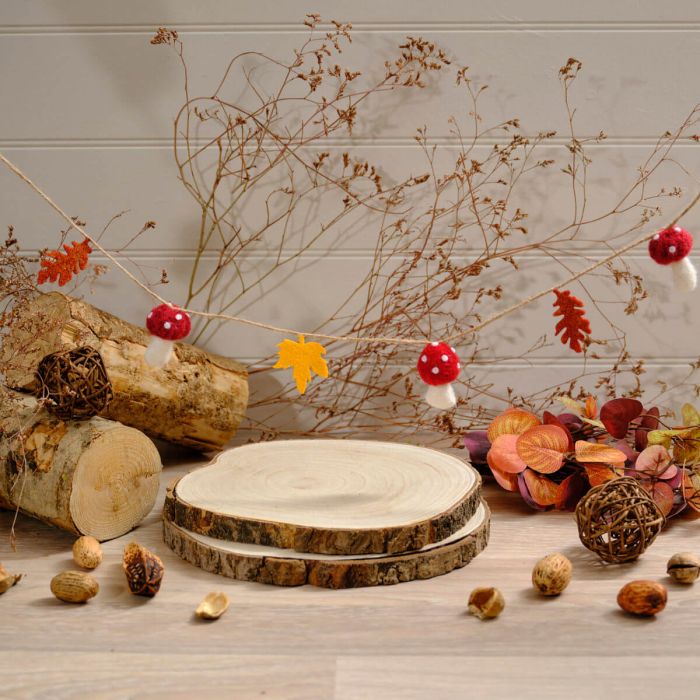 Toadstool Tales Mushroom & Leaf Bunting
