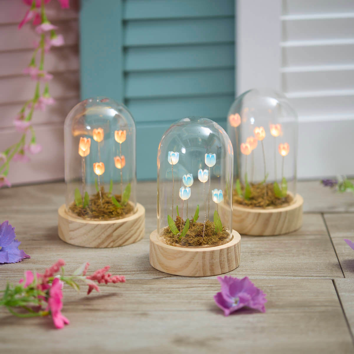 Glass Dome with LED Lit Tulips