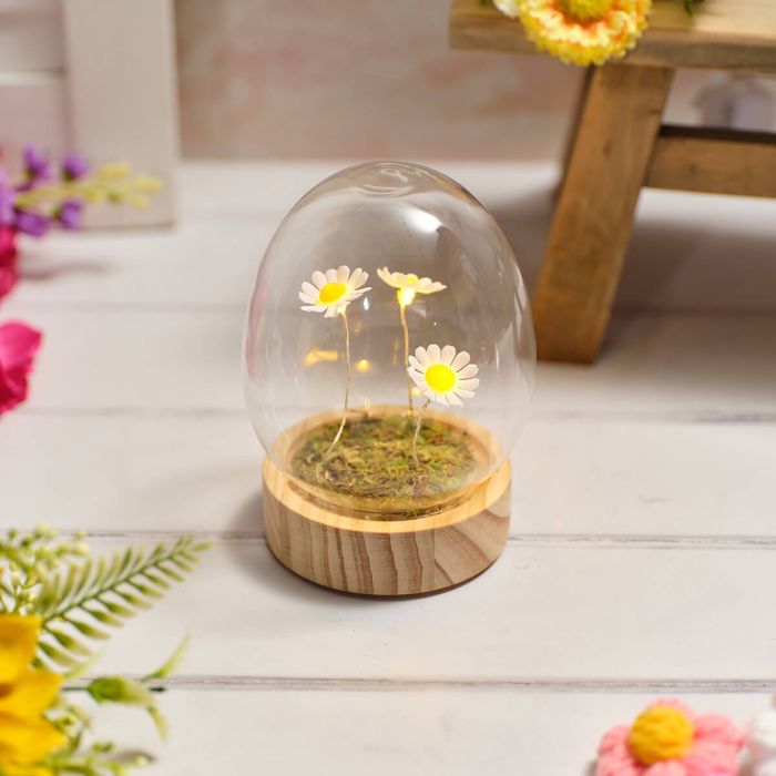 Bright & Beautiful Glass Egg Dome with LED Daisies