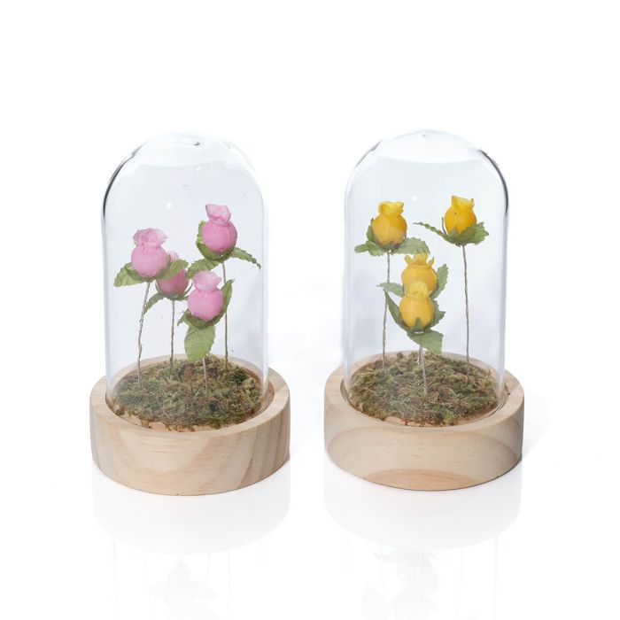 Floral Serenade Glass Dome with LED Rosebuds
