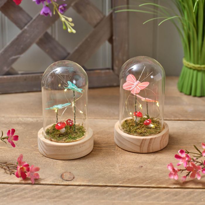 Garden Birds Glass Dome with LED Butterflies