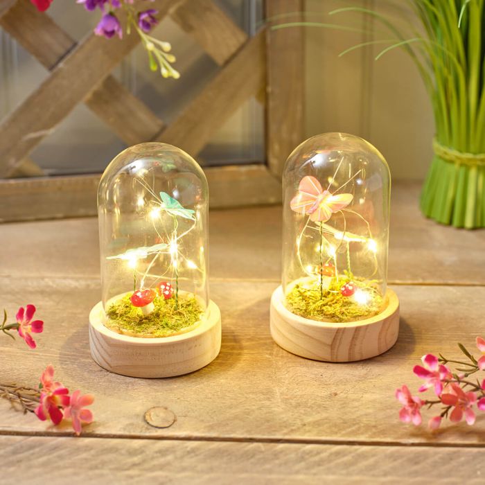 Garden Birds Glass Dome with LED Butterflies