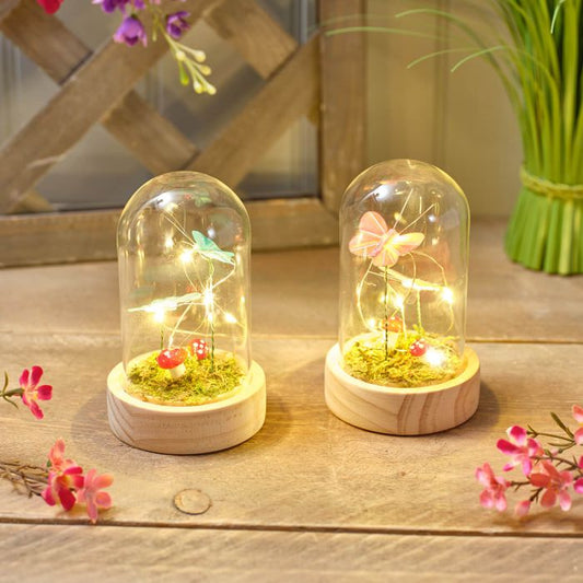 Garden Birds Glass Dome with LED Butterflies