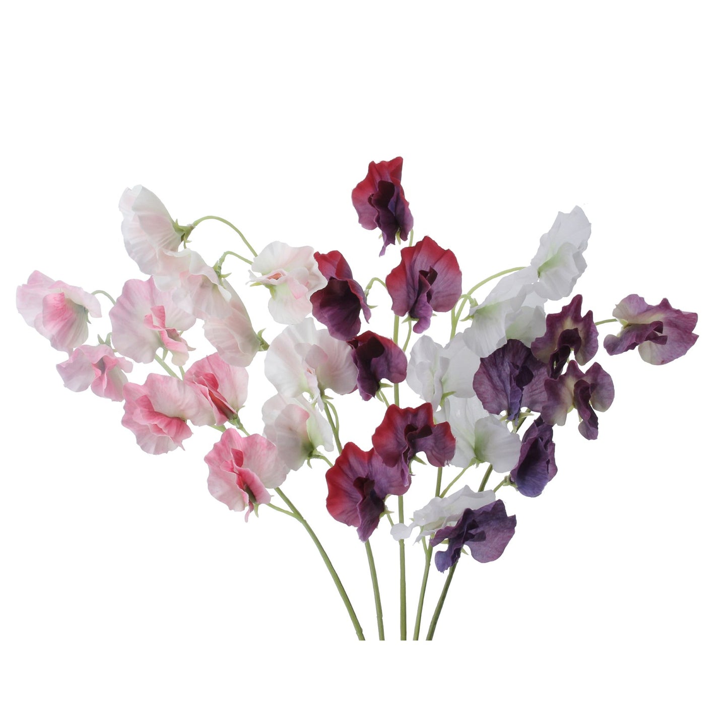 Sweetpea Spray