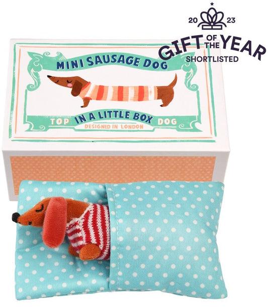 Mini Sausage Dog In A Little Box
