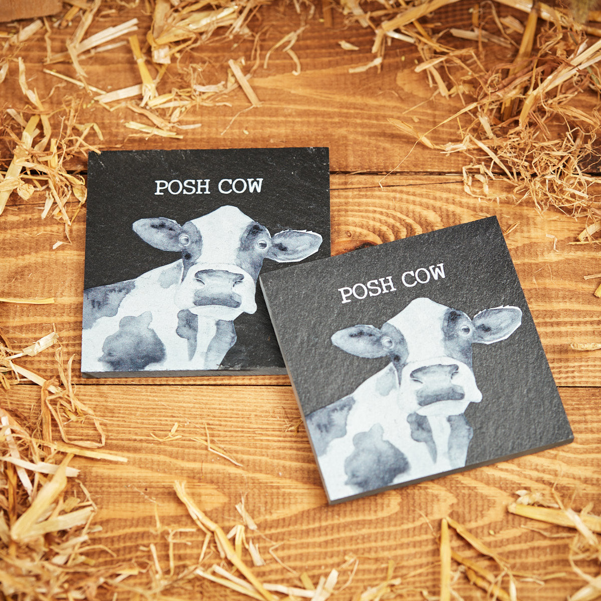 Slate Posh Cow Coaster