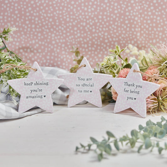 Floral Friend Ceramic Star Hanger