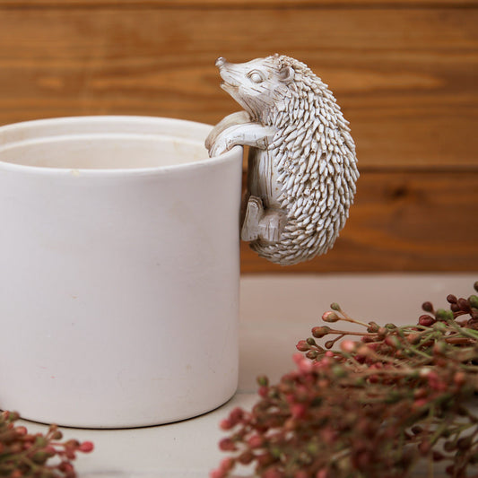 White Hedgehog Pot Hanger
