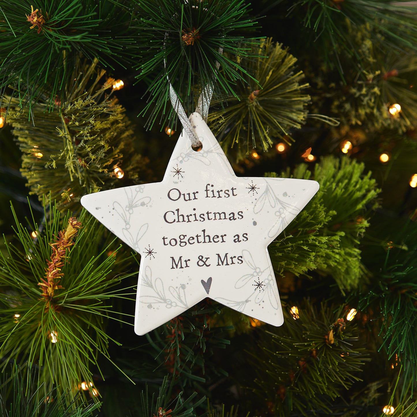 Our First Christmas Star Hanger