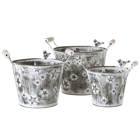 Bird Metal Star Bucket
