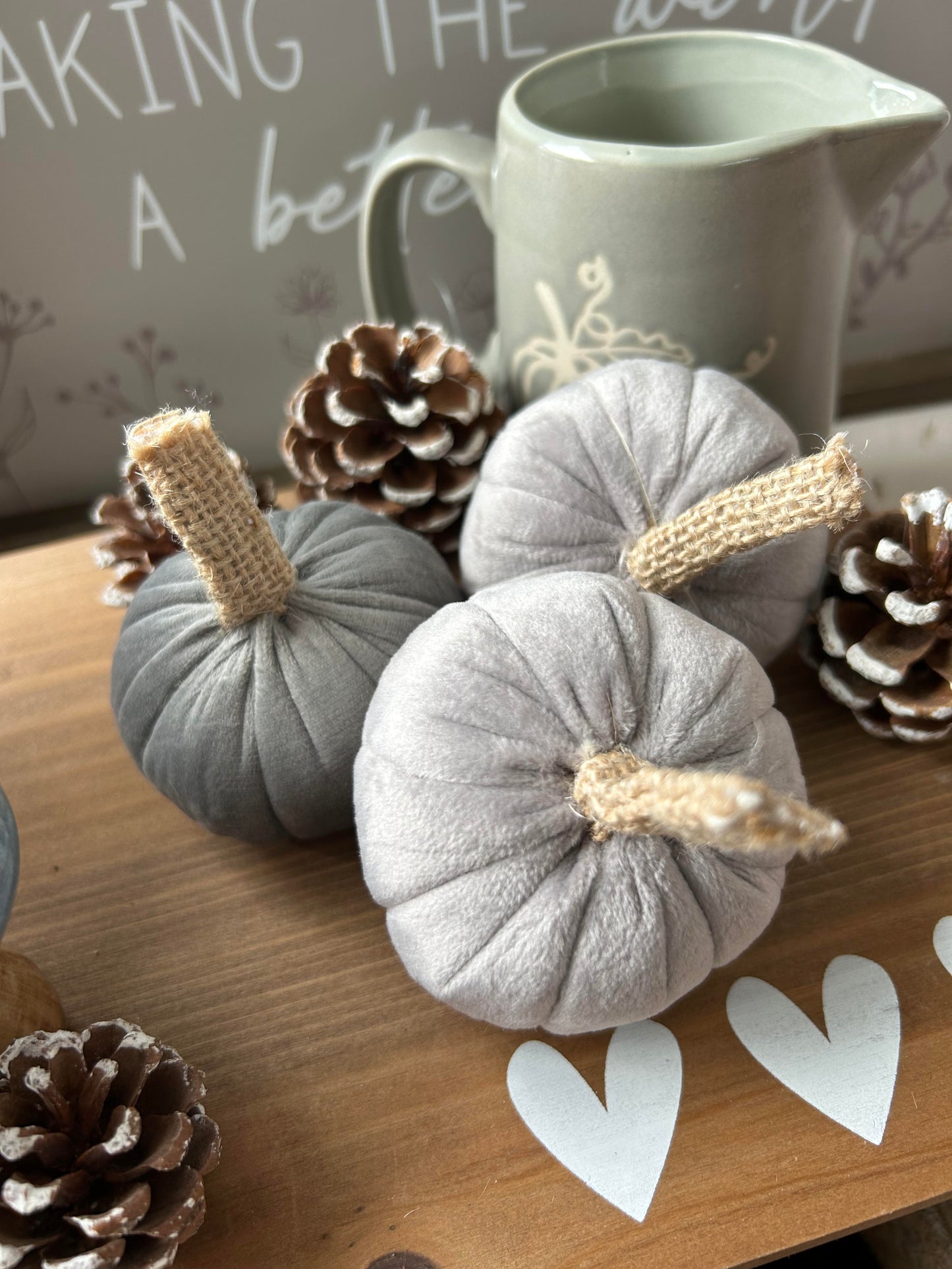 Velvet Grey Pumpkins