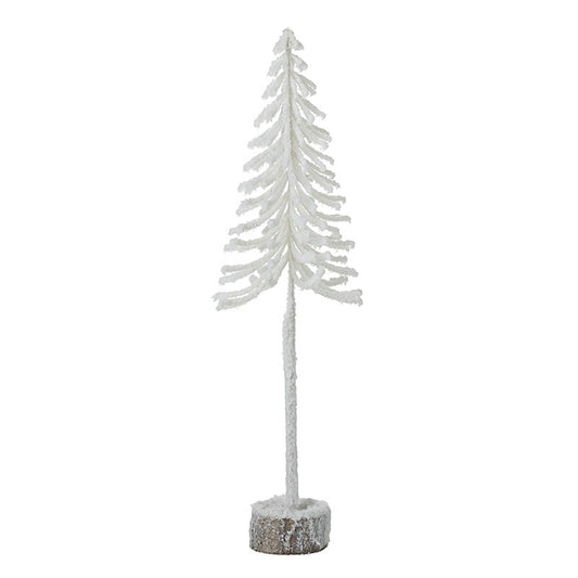 Small White Fir Tree
