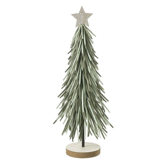 Tall Green Long Leaf Tree
