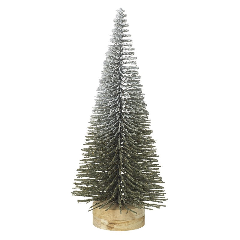 Bristle Fir Tree Medium