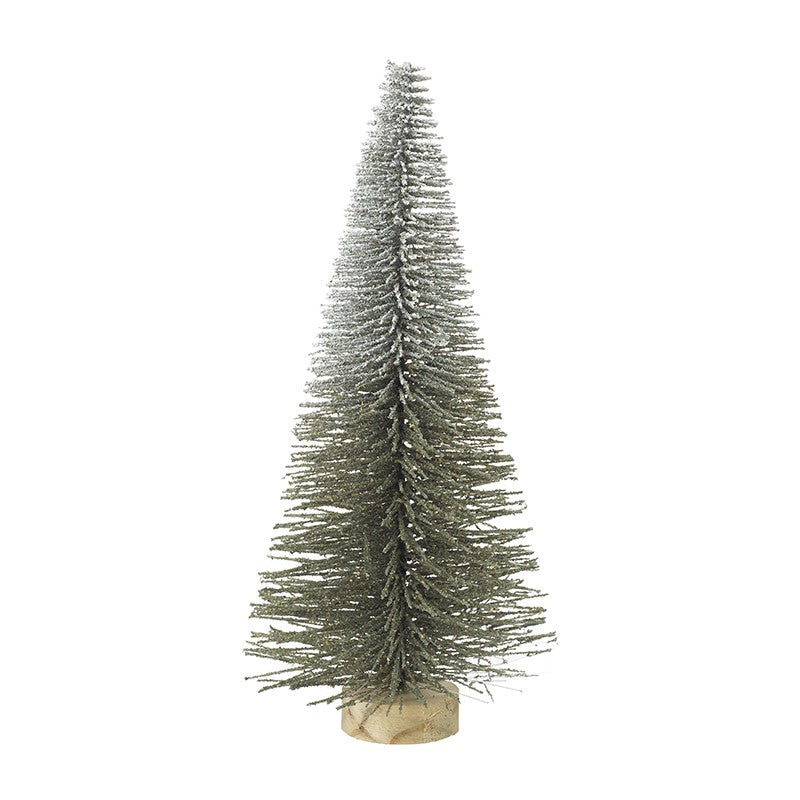 Bristle Fir Tree Small