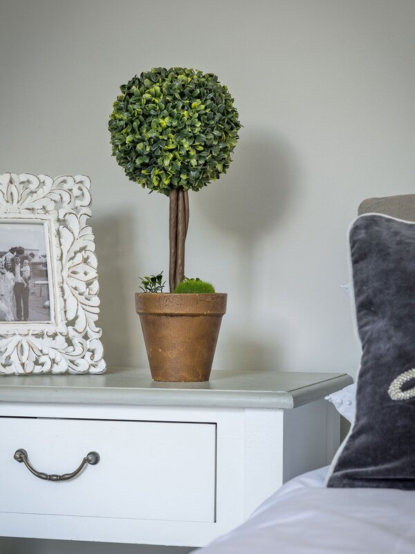 20SS79 Topiary Tree