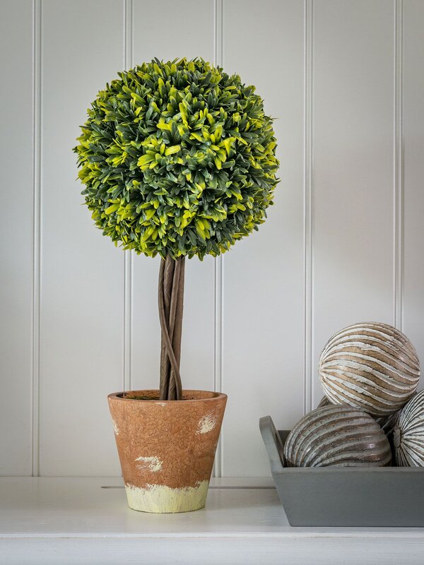 20SS80 Topiary Tree