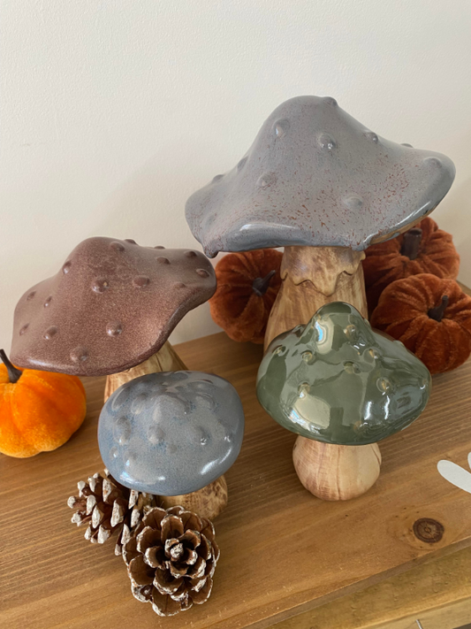 Ceramic Mushrooms