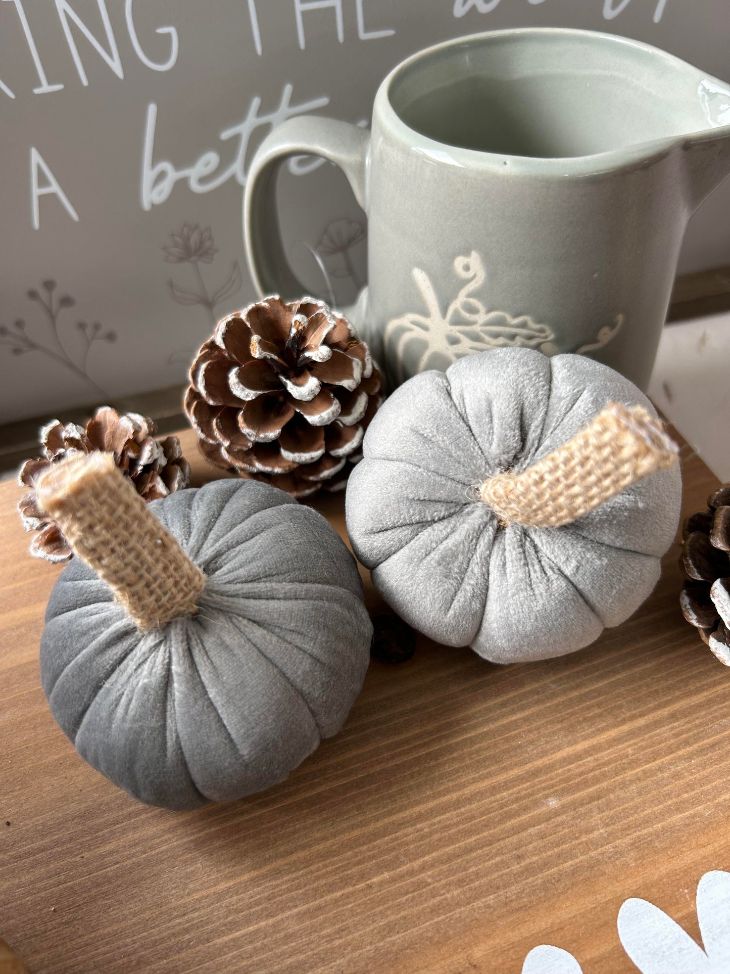 Velvet Grey Pumpkins