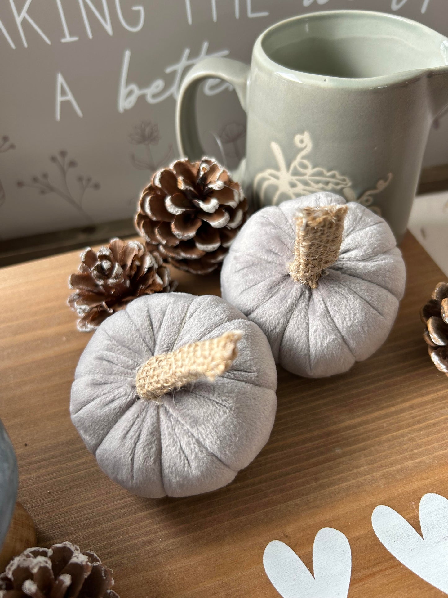 Velvet Grey Pumpkins