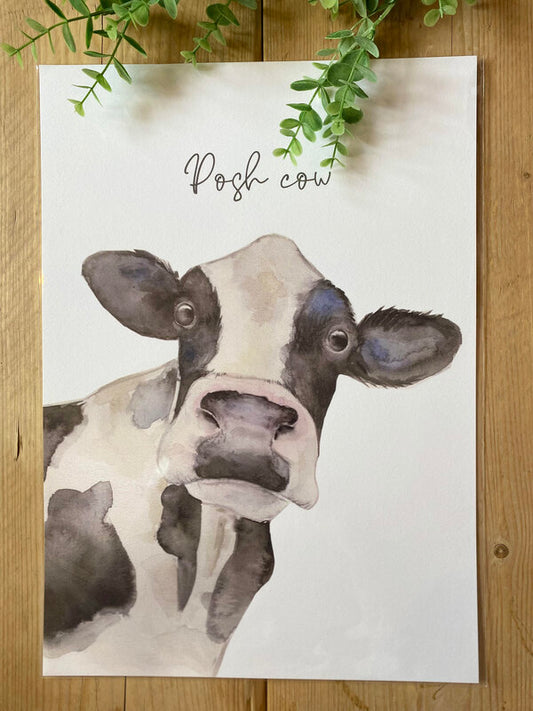 Posh Cow A3 Wall Print