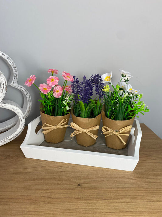 Set of 3 Pretty Flowers in Pots
